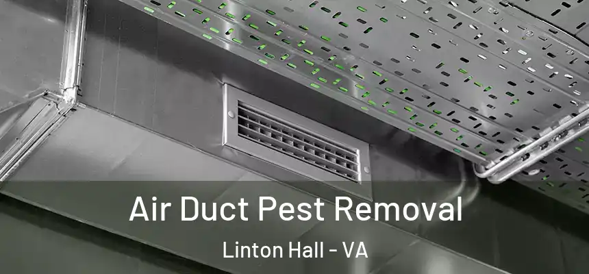 Air Duct Pest Removal Linton Hall - VA