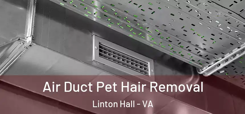  Air Duct Pet Hair Removal Linton Hall - VA