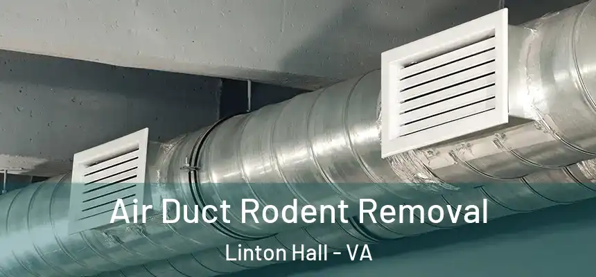 Air Duct Rodent Removal Linton Hall - VA