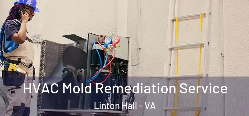 HVAC Mold Remediation Service Linton Hall - VA