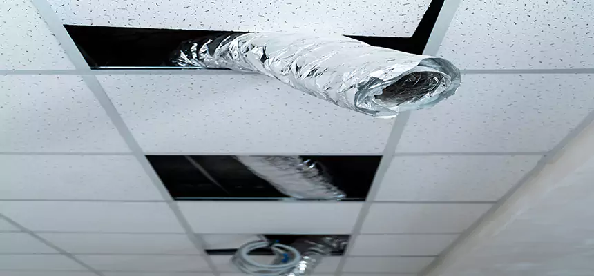 Our Air Duct Pet Hair Removal Services in Linton Hall, VA