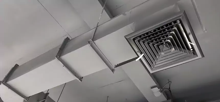 Our Pest Removal From Ducts Services in Linton Hall, VA