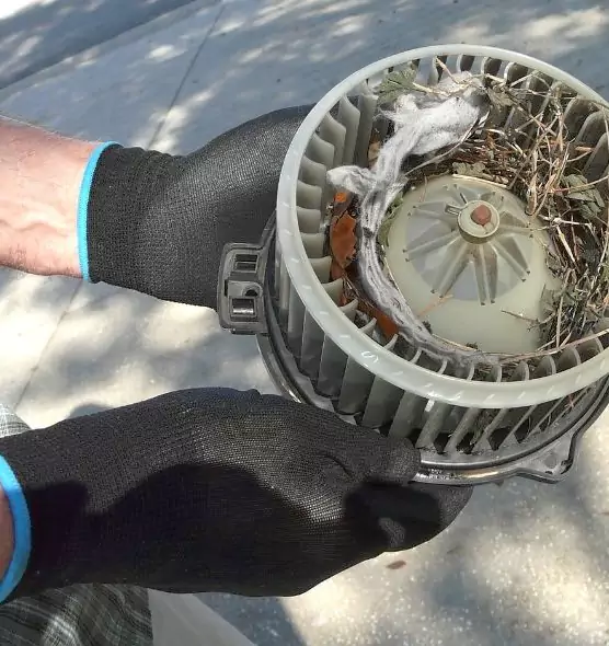 About Air Duct Rat Removal in Linton Hall, VA