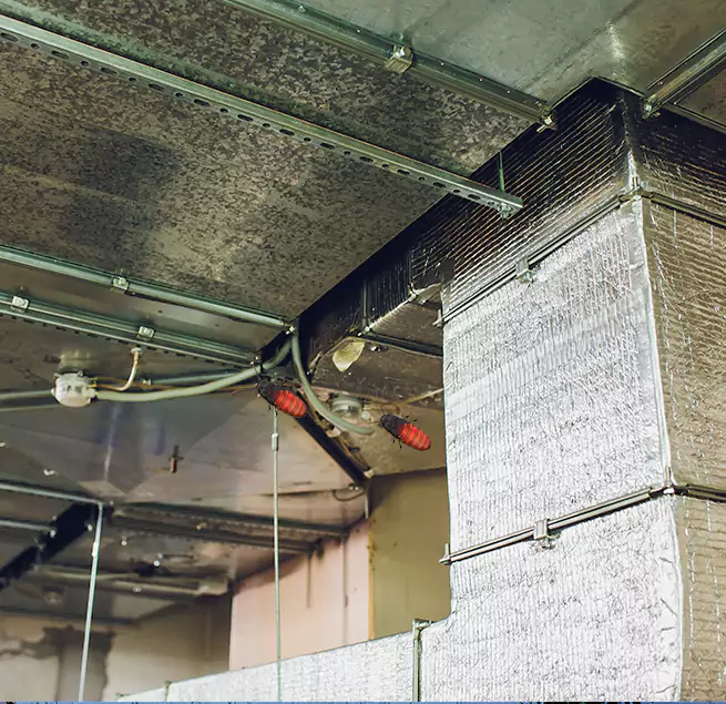 Why Homeowners & Businesses Trust Us in Linton Hall, VA?