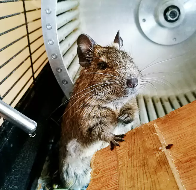 Why Homeowners & Businesses Trust Us Linton Hall, VA?