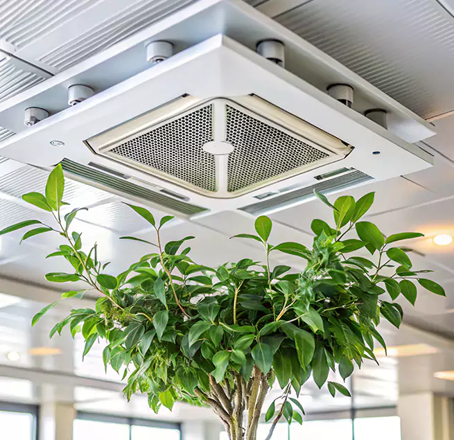 Why Homeowners & Businesses Trust Us in Linton Hall, VA?