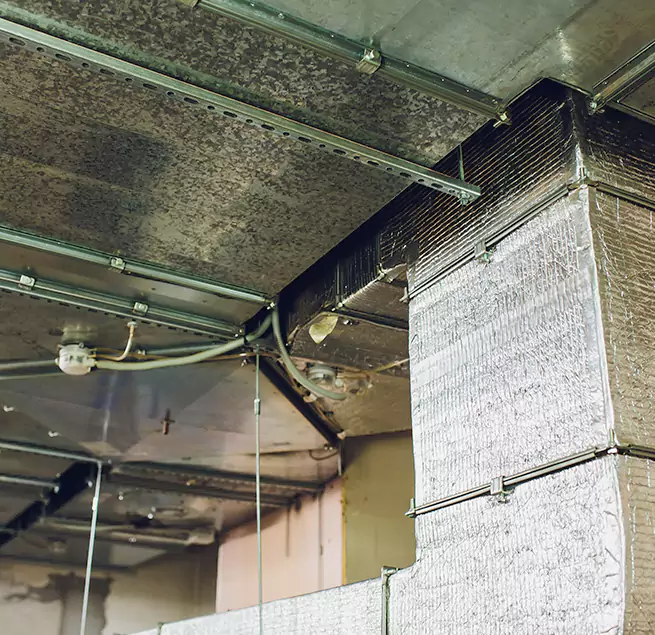 Why Homeowners & Businesses Trust Us in Linton Hall, VA?